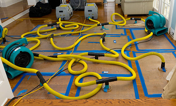 Professional Structural Drying And Dehumidification technician working in Rockport, TX